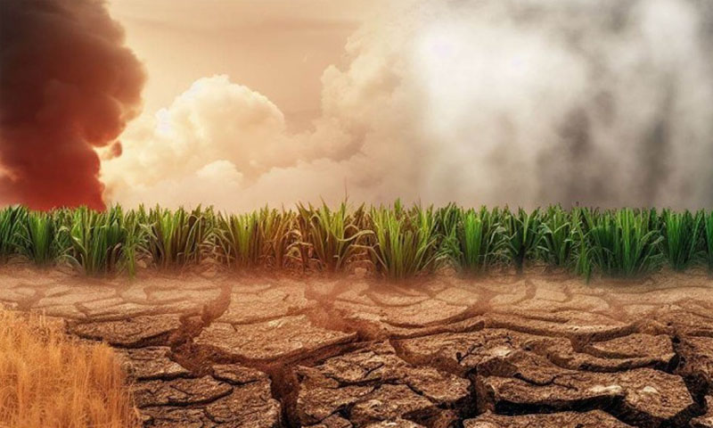 موسمیاتی تبدیلی کے ہزارہ ڈویژن پر اثرات 