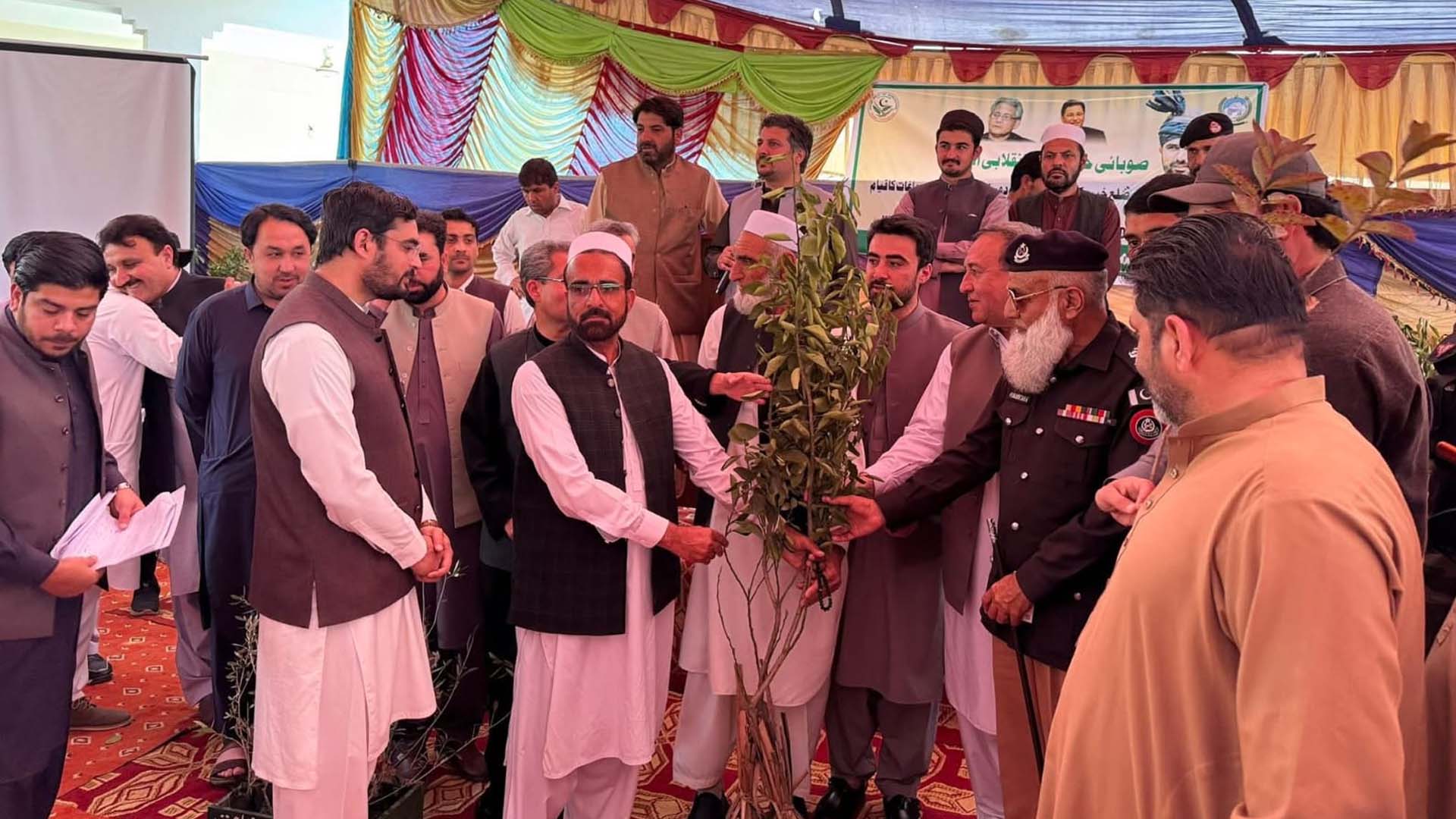 زیتون اور پھلدار پودوں کی تقسیم، فوڈ سیکیورٹی اور ماحولیاتی بہتری پر زور