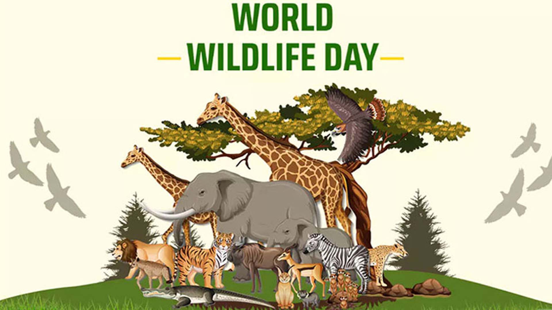 جنگلی حیات کا عالمی دن: نایاب نسلوں اور خوشبودار پودوں کا تحفظ ضروری‎