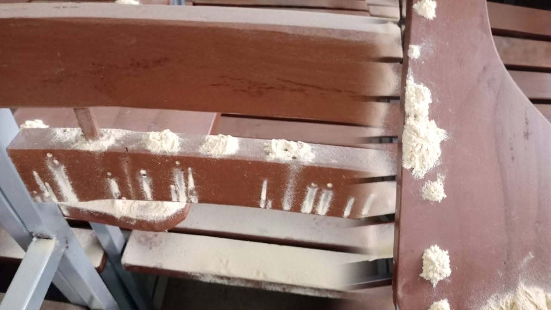 ملاگوری میں سکول کا سرکاری فرنیچر دیمک کی نذر، محکمہ تعلیم کی کارکردگی پر سوالات