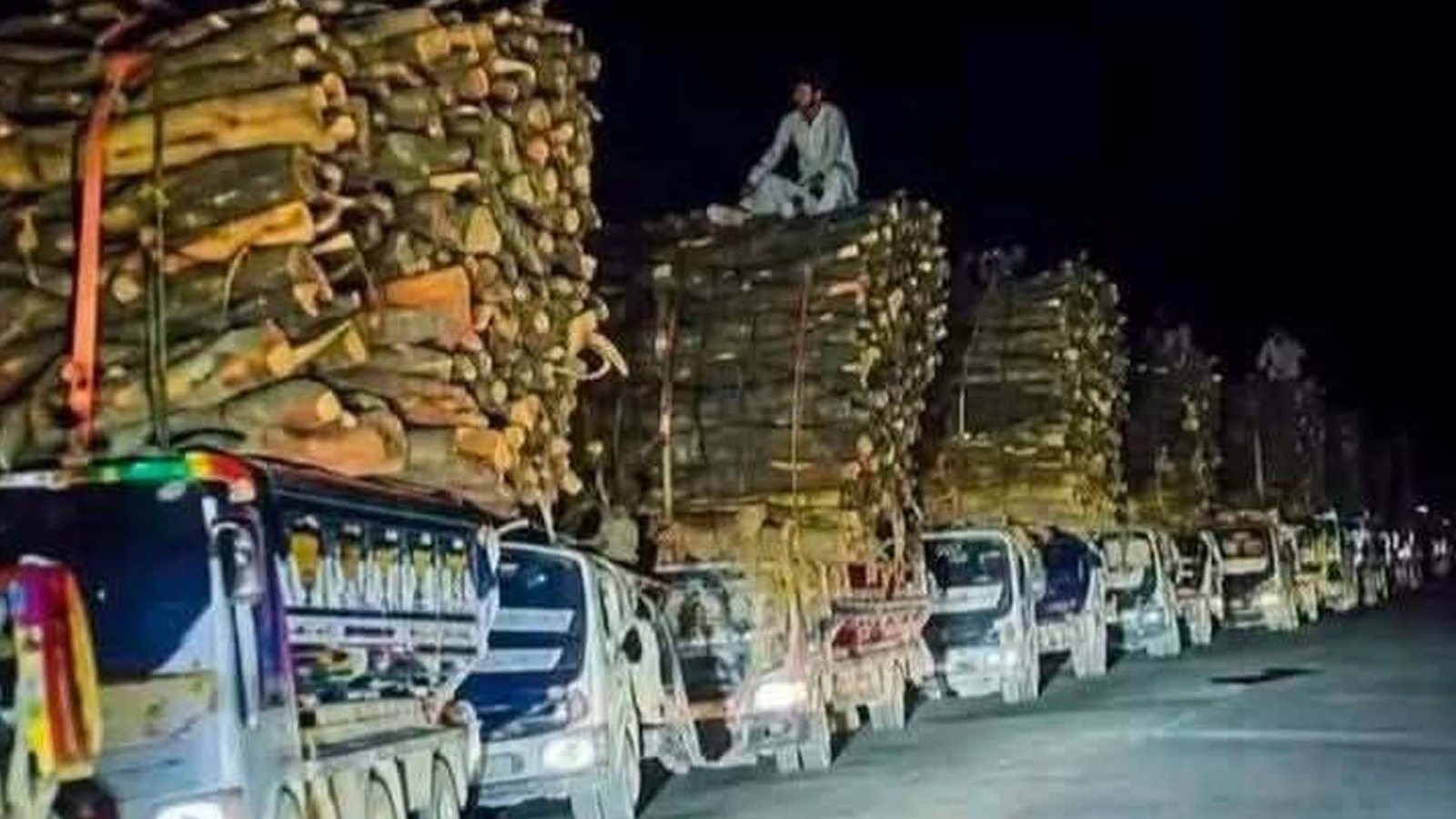 تیراہ اور اورکزئی میں جنگلات کی مبینہ غیر قانونی کٹائی جاری، سرکاری عناصر کے ملوث ہونے کا الزام